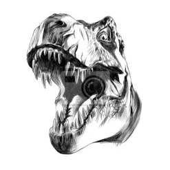 Tapeta: Dinozaur głowy szkic
