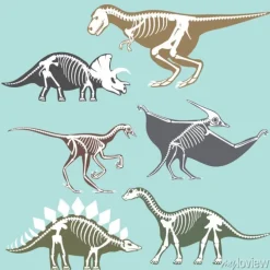 Tapeta: Dinozaury szkieletów silhouettes zestaw kopalnych kości tyrannosaurus
