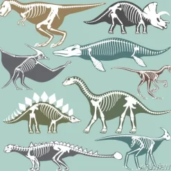 Tapeta: Dinozaury szkieletów silhouettes zestaw kopalnych kości tyrannosaurus