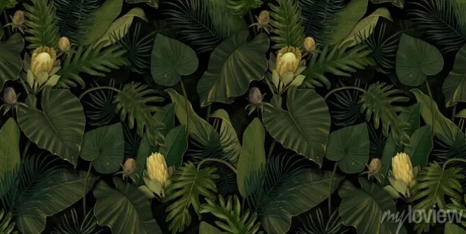 Tapeta: Egzotyczne kwiaty protea i tropikalne liście