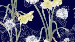 Tapeta: Floral seamless pattern, daffodil flowers with leaves on dark
