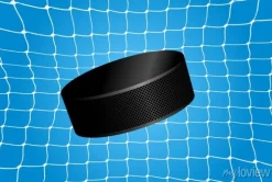 Tapeta: Goal - hokejowy krążek w siatce