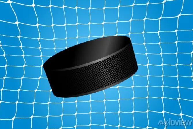 Tapeta: Goal - hokejowy krążek w siatce