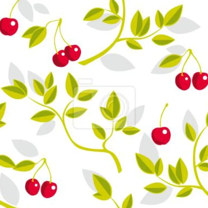 Tapeta: Ilustracja gałązek i wiśni na białym tle