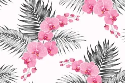 Tapeta: Jasny różowy fioletowy storczyk phalaenopsis bukiet kwiatów egzotycznych