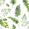 Tapeta: Jednolite zieleni li? cie botaniczne, rustykalny wzór wektor