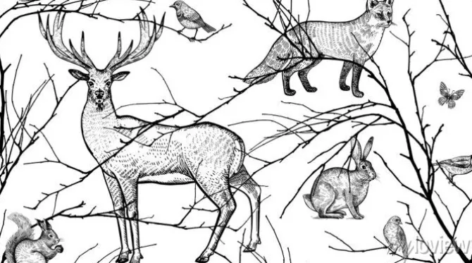 Tapeta: Leśne zwierzęta i gałęzie