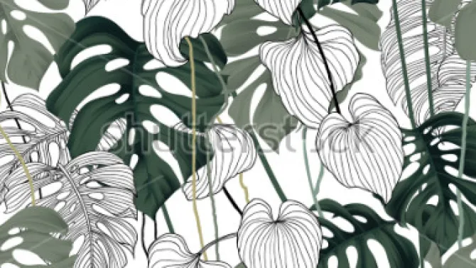 Tapeta: Liście tropikalnych kwiatów na białym tle