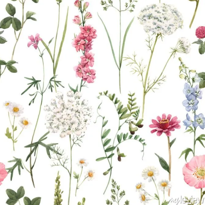 Tapeta: Malowane akwarelą polne kwiaty w żywych kolorach