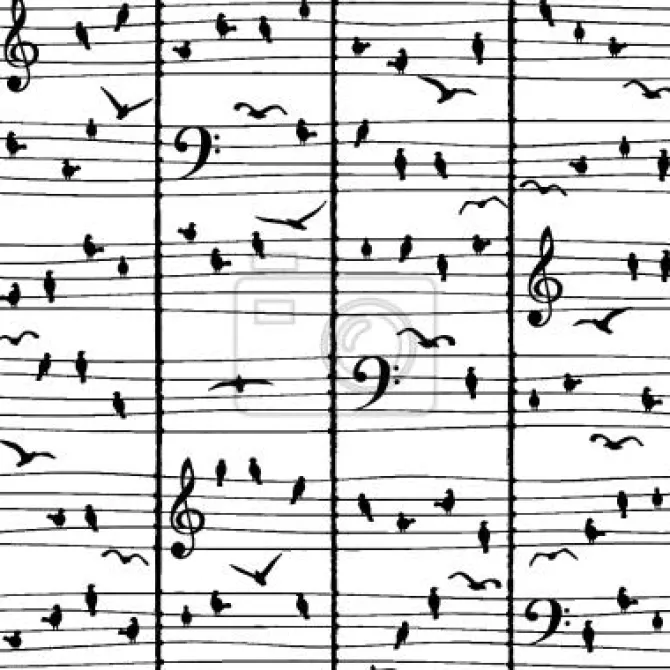 Tapeta: Muzyka ptaki