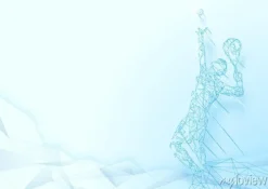 Tapeta: Niski wielokąt służy do siatkówki siatki siatkówki na miękkich