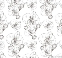 Tapeta: Piękne kwiaty orchidea wektor