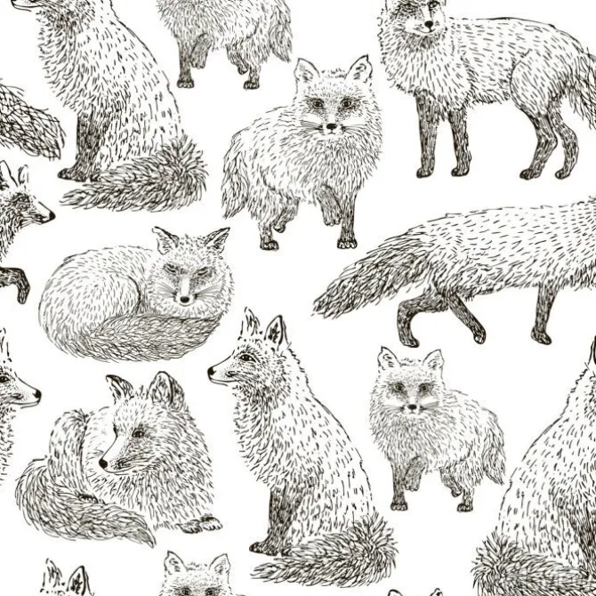 Tapeta: Ręcznie rysowane ilustracji wektorowych.