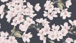 Tapeta: Różowe kwiaty wiśni na ciemnym tle