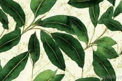 Tapeta: Seamless pattern watercolor botanical flowers flax green leaves