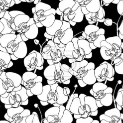 Tapeta: Taniec orchidea