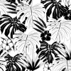 Tapeta: Wektor bezszwowe piękny artystyczny czarno-biały wzór tropikalny