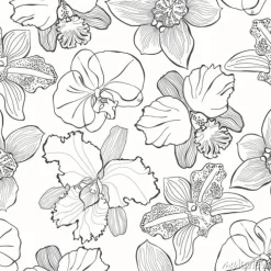 Tapeta: Wektorowa czarny i biały ilustracja. konturowy rysunek.