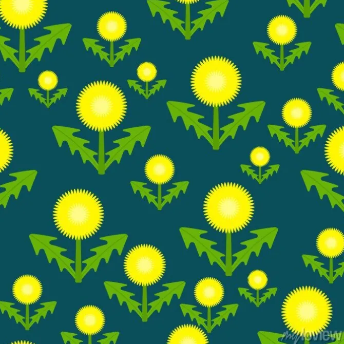 Tapeta: Wektorowa ilustracja dandelion. taraxacum officinale zioło kwiat