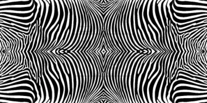 Tapeta: Zebra