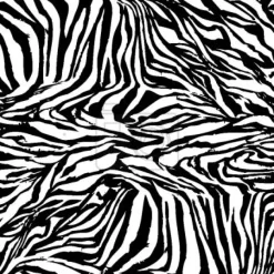 Tapeta: Zebra czarno-biała