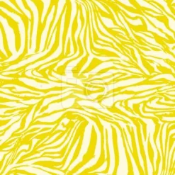 Tapeta: Zebra wibrujący